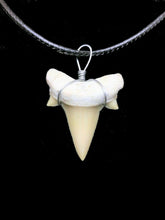 Load image into Gallery viewer, Otodus Extinct Giant Shark Tooth Necklace 1 Inch Long Genuine
