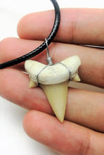 Cargar imagen en el visor de la galería, Otodus Extinct Giant Shark Tooth Necklace 1 Inch Long Genuine
