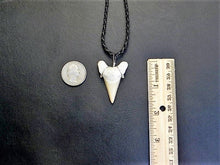 Charger l&#39;image dans la galerie, Otodus Extinct Giant Shark Tooth Necklace 1 Inch Long Genuine
