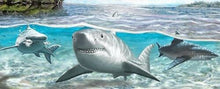 Charger l&#39;image dans la galerie, Paleocarcharodon Extinct Shark Tooth 1 Inch Long Genuine &amp; Unrestored
