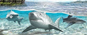 Paleocarcharodon Extinct Shark Tooth 1 Inch Long Natural