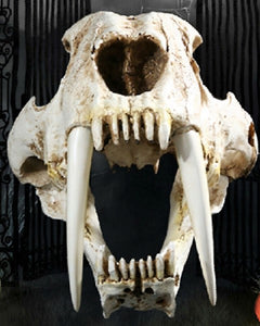 Sabertoothed Tiger Smilodon Skull Replica Model Resin Sculpture 1/1 Scale