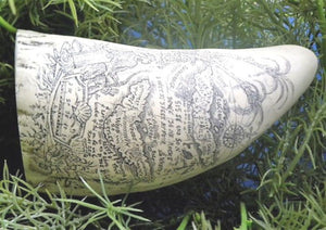 Sperm Whale Tooth Replica Scrimshaw 7 Inches Long Pirate Map Resin Model