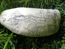 Load image into Gallery viewer, Sperm Whale Tooth Replica Scrimshaw 4 Inches Long Whaler Lion Resin Model
