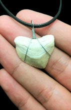 Cargar imagen en el visor de la galería, Squalicorax Extinct Shark Tooth Necklace 1 Inch Long Genuine &amp; Unrestored
