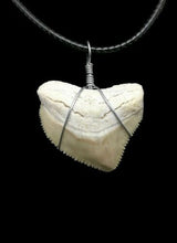 Cargar imagen en el visor de la galería, Squalicorax Extinct Shark Tooth Necklace 1 Inch Long Genuine &amp; Unrestored
