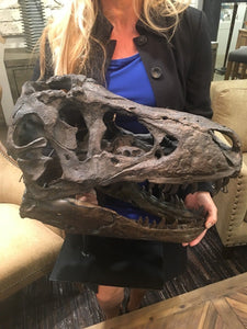 Tyrannosaurus Rex Skull Replica Large Head Resin Model T-Rex Sculpture