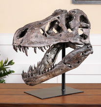Cargar imagen en el visor de la galería, Tyrannosaurus Rex Skull Replica Large Head Resin Model T-Rex Sculpture
