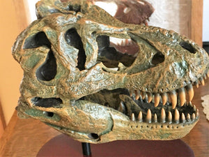 Tyrannosaurus Rex Skull Replica 1/10th Scale Resin Model T-Rex Sculpture