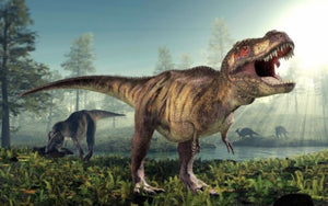 Tyrannosaurus Rex Tooth Replica 12 Inches Long Resin Model T-Rex Sculpture