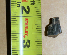 Load image into Gallery viewer, Tyrannosaurus Rex Tooth Hell Creek Fossil T-Rex 1/2 Inch Long Genuine &amp; Unrestored
