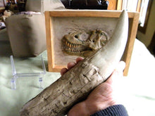 Load image into Gallery viewer, Tyrannosaurus Rex Tooth Replica 12 Inches Long Resin Model T-Rex Sculpture
