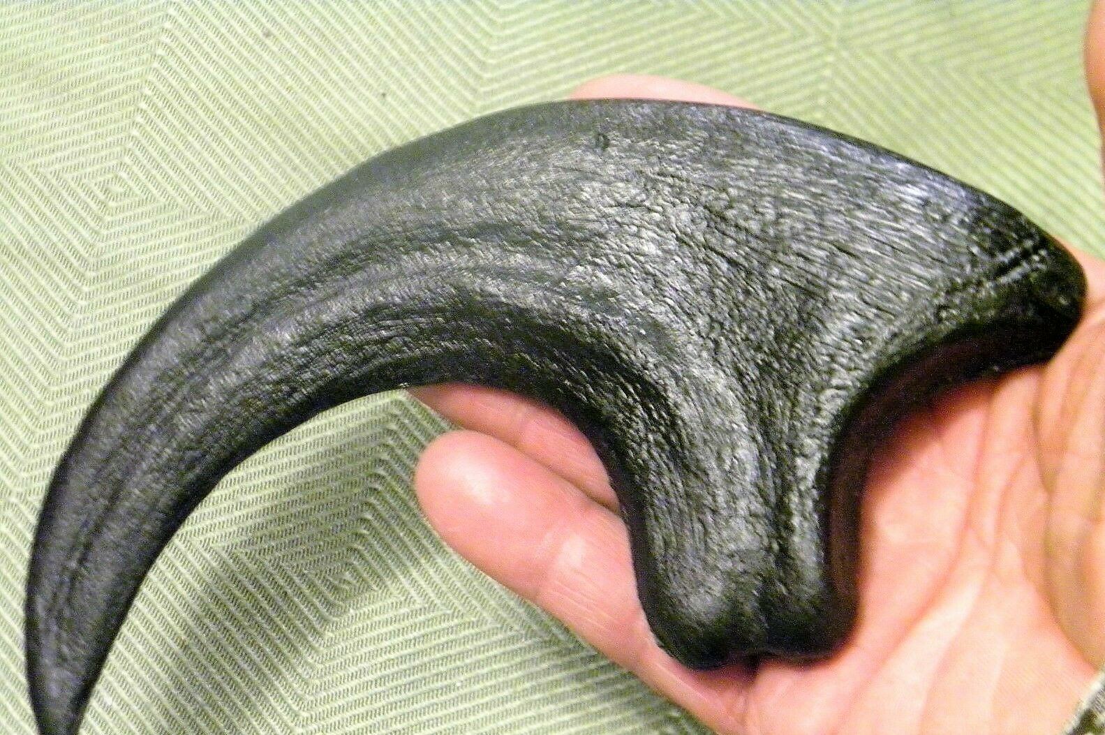 Deinonychus Raptor Claw Replica 4 Inches Long Black Resin Model