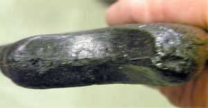 Utahraptor Claw Replica 9 Inches Long Black Resin Model