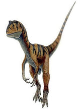Cargar imagen en el visor de la galería, Raptor (Velociraptor) Skull Model Resin Model Small Size
