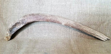 Load image into Gallery viewer, Woolly Mammoth Rib Bone Genuine Fossil Siberia
