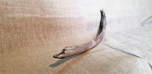 Load image into Gallery viewer, Woolly Mammoth Rib Bone Genuine Fossil Siberia
